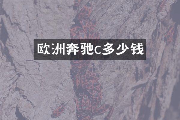 欧洲奔驰c多少钱