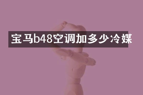 宝马b48空调加多少冷媒