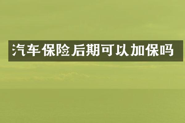汽车保险后期可以加保吗