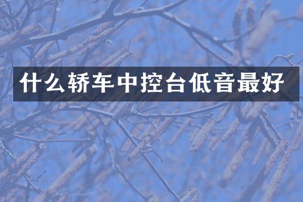 什么轿车中控台低音最好