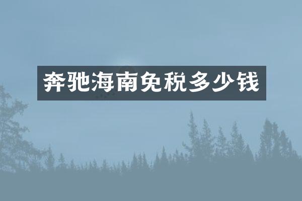 奔驰海南免税多少钱