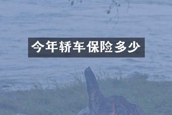 今年轿车保险多少