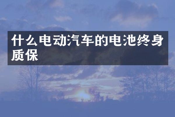 什么电动汽车的电池终身质保