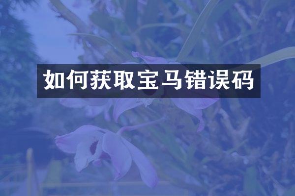 如何获取宝马错误码