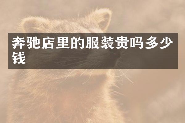 奔驰店里的服装贵吗多少钱