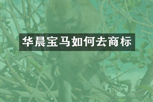 华晨宝马如何去商标