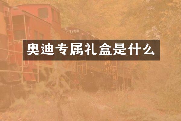 奥迪专属礼盒是什么