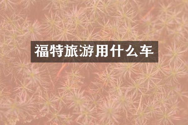 福特旅游用什么车