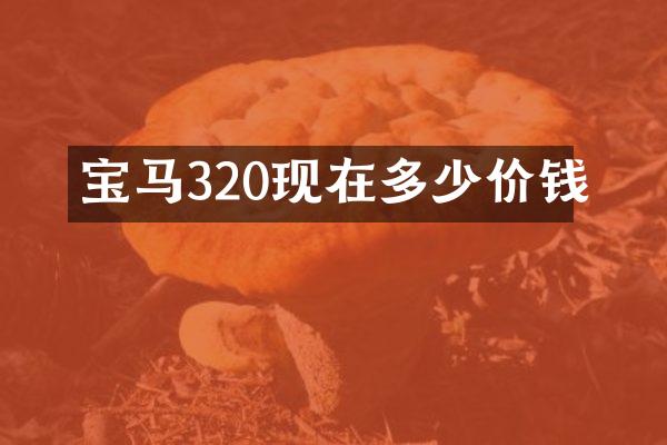 宝马320现在多少价钱