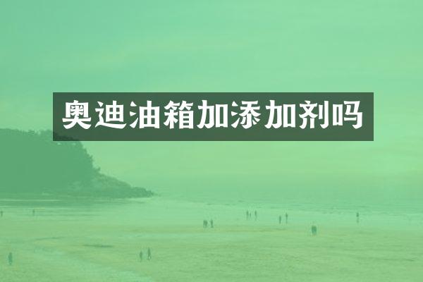 奥迪油箱加添加剂吗