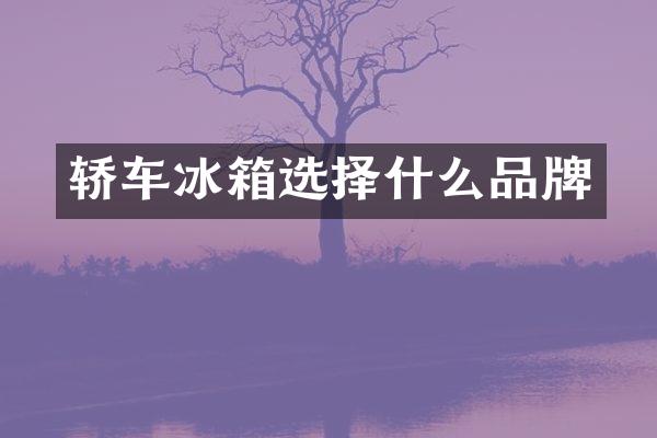 轿车冰箱选择什么品牌