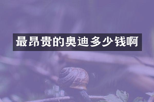 最昂贵的奥迪多少钱啊