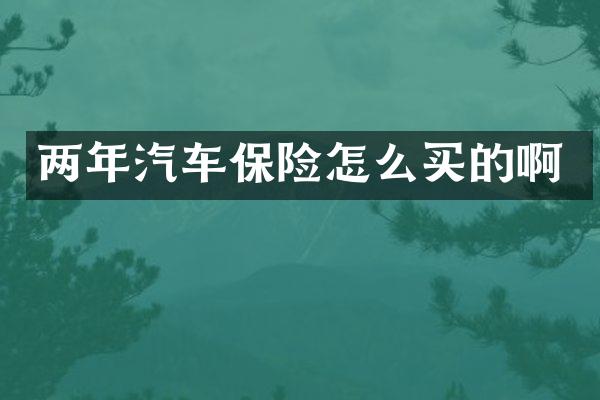 两年汽车保险怎么买的啊