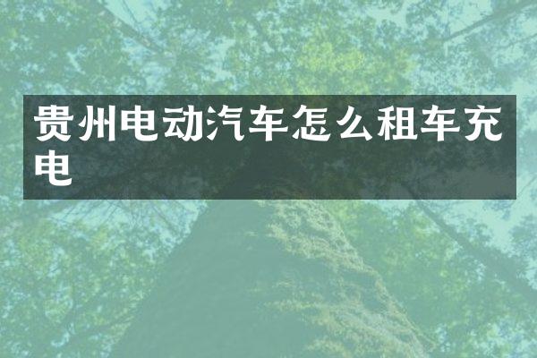 贵州电动汽车怎么租车充电