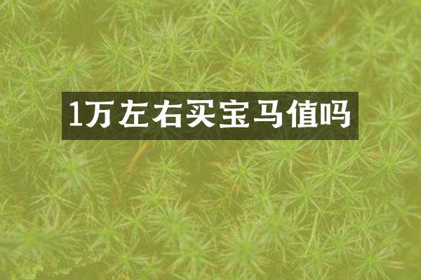 1万左右买宝马值吗