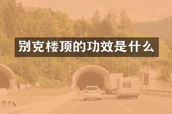 别克楼顶的功效是什么