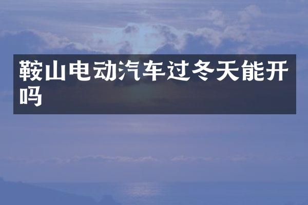 鞍山电动汽车过冬天能开吗