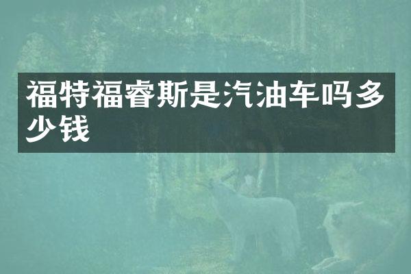 福特福睿斯是汽油车吗多少钱