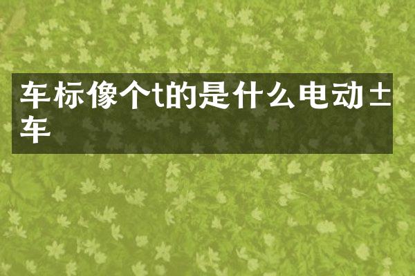 车标像个t的是什么电动汽车