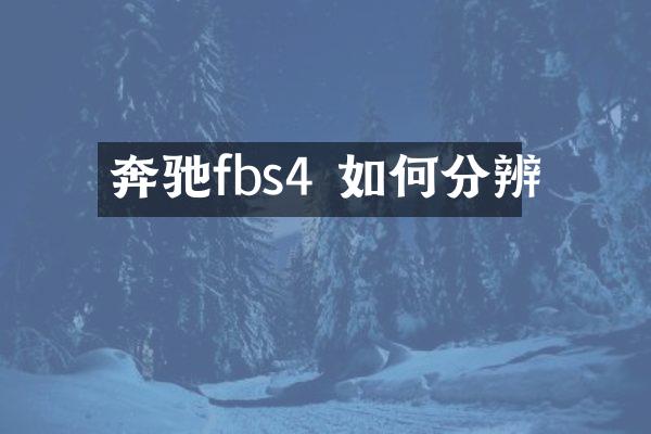 奔驰fbs4 如何分辨