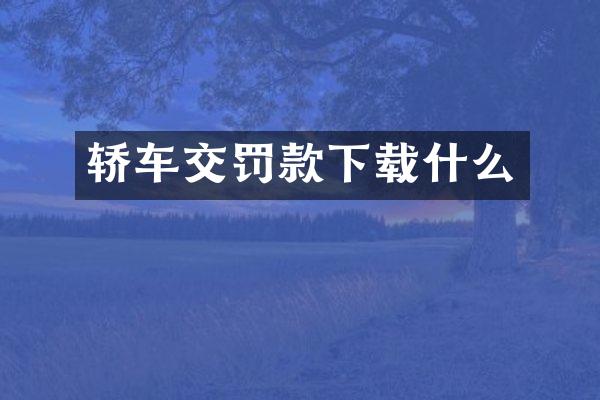 轿车交罚款下载什么