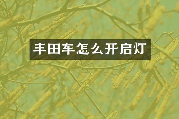 丰田车怎么开启灯