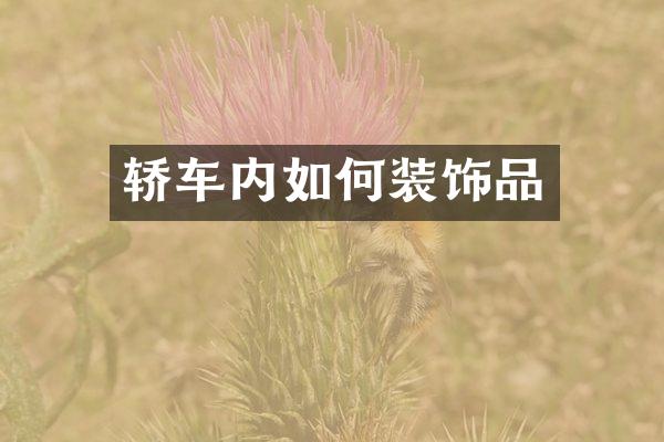 轿车内如何装饰品