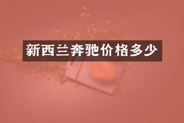 新西兰奔驰价格多少