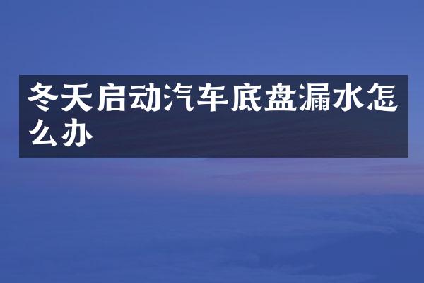 冬天启动汽车底盘漏水怎么办