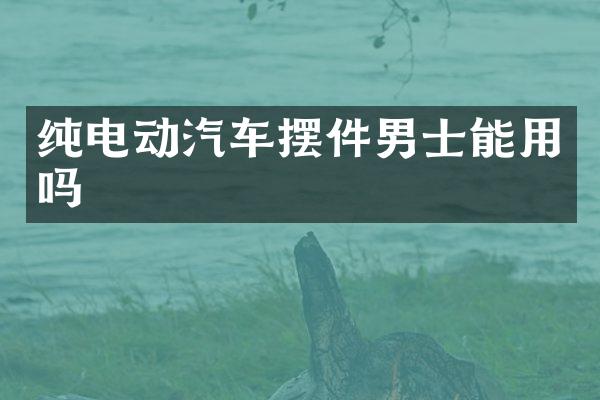 纯电动汽车摆件男士能用吗