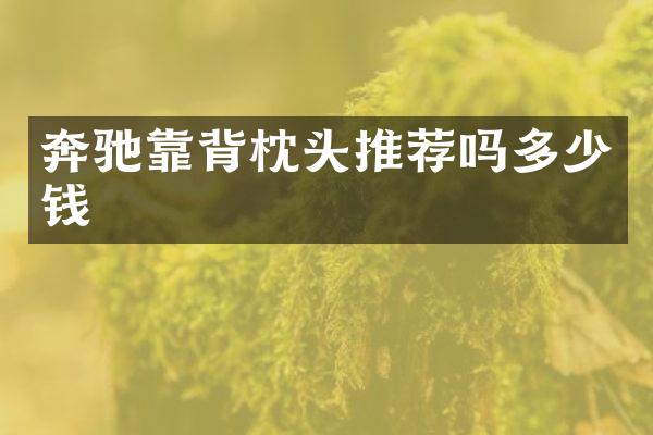 奔驰靠背枕头推荐吗多少钱