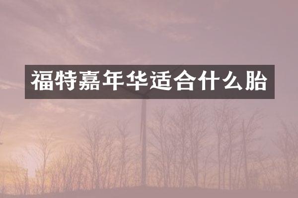 福特嘉年华适合什么胎