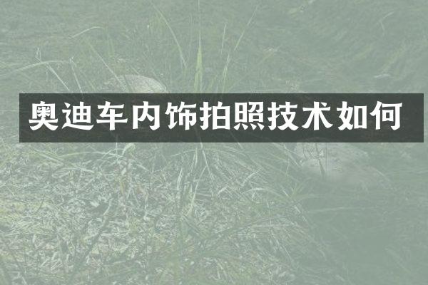 奥迪车内饰拍照技术如何