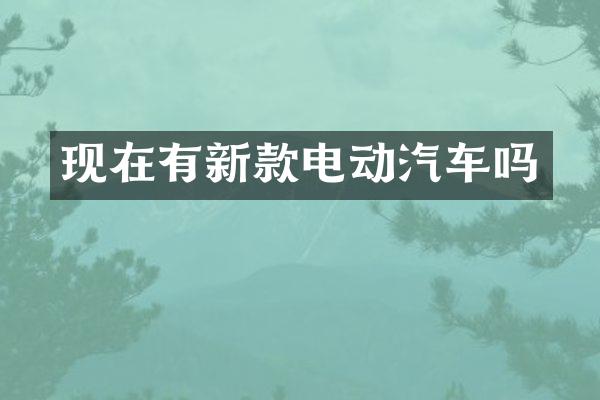 现在有新款电动汽车吗