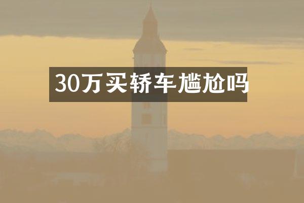 30万买轿车尴尬吗