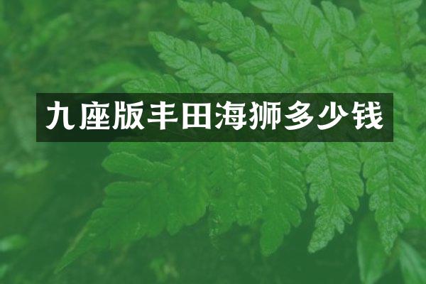 九座版丰田海狮多少钱