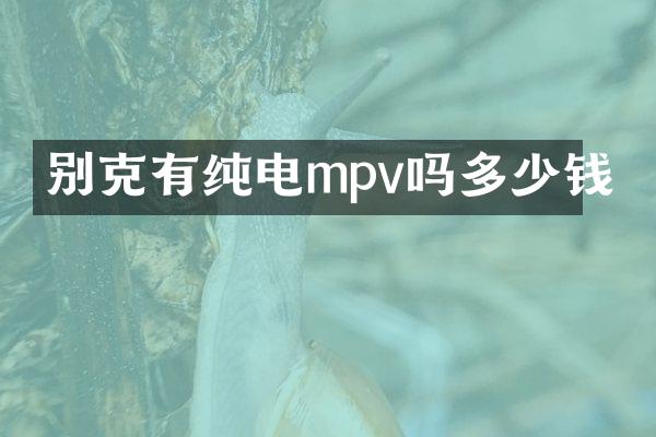 别克有纯电mpv吗多少钱