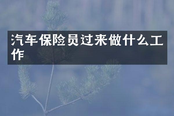 汽车保险员过来做什么工作