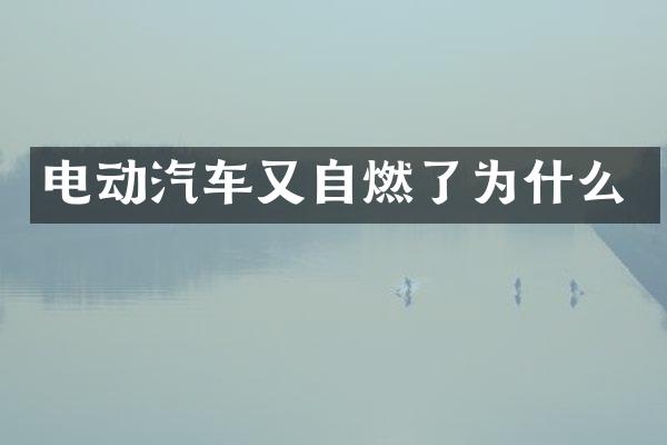 电动汽车又自燃了为什么