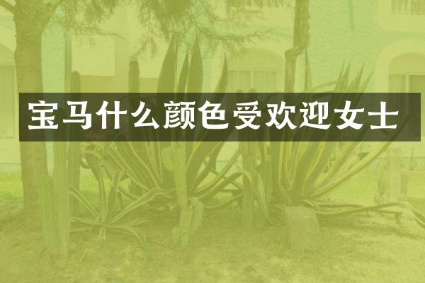 宝马什么颜色受欢迎女士
