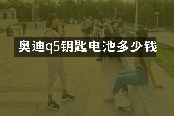 奥迪q5钥匙电池多少钱
