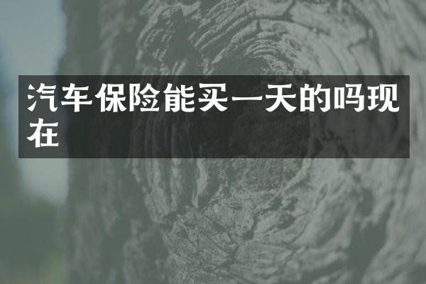 汽车保险能买一天的吗现在