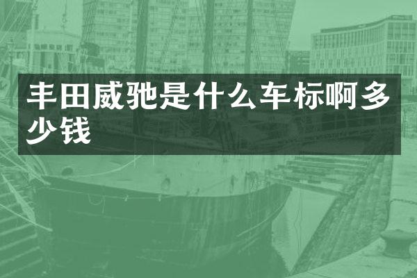 丰田威驰是什么车标啊多少钱