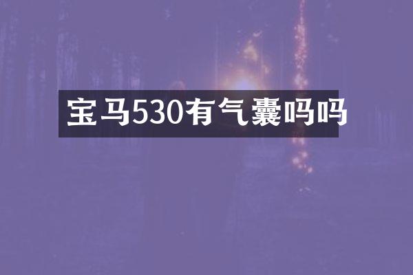 宝马530有气囊吗吗