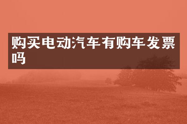 购买电动汽车有购车发票吗
