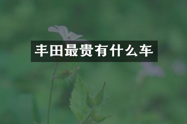 丰田最贵有什么车