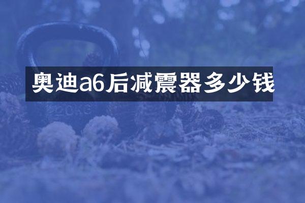 奥迪a6后减震器多少钱