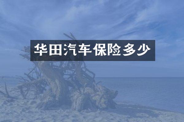 华田汽车保险多少