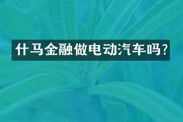 什马金融做电动汽车吗?