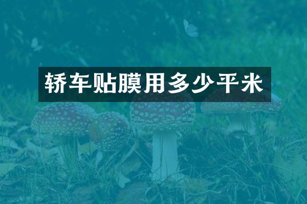轿车贴膜用多少平米